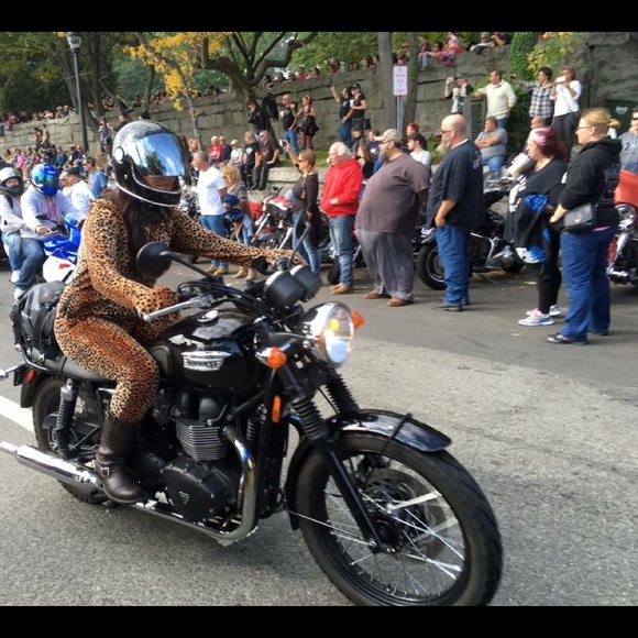 Titanium Orchid - Picture 3 of 4